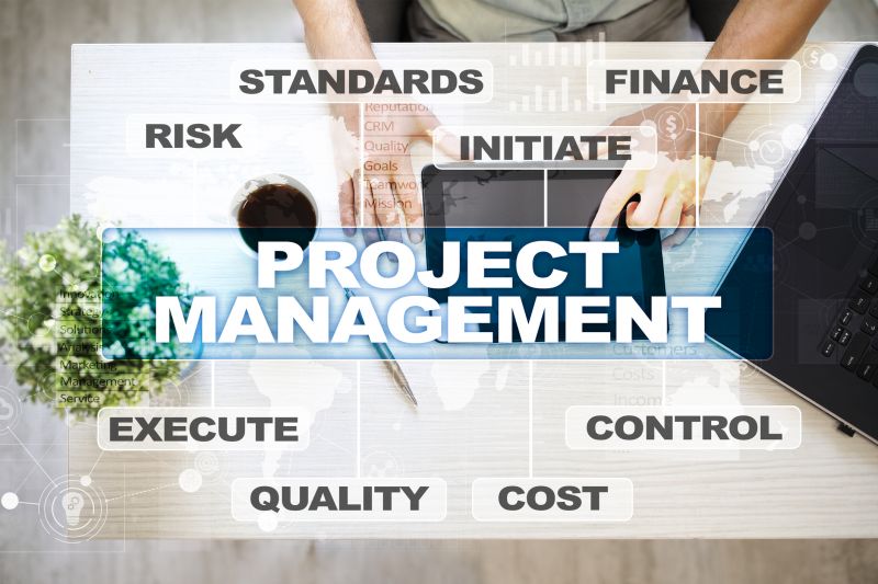 A project manager organizes tasks and timelines, ensuring everything runs smoothly
