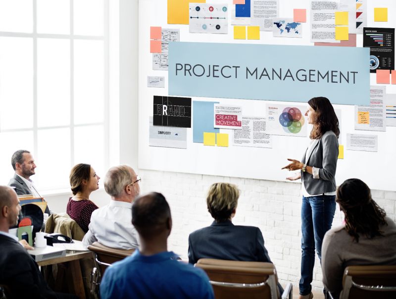 Project managers quickly address and resolve issues that may arise during the project
